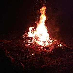 Meet your Posher, Jayce